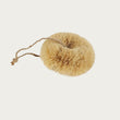 Coconut Fibre Dish Brush, Round