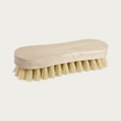 Scrub Brush