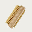 nail brush, double-sided