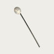 Smoothie Stainless Steel Straw