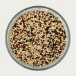 quinoa, tricolour