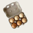 Eggs, Organic Free Range